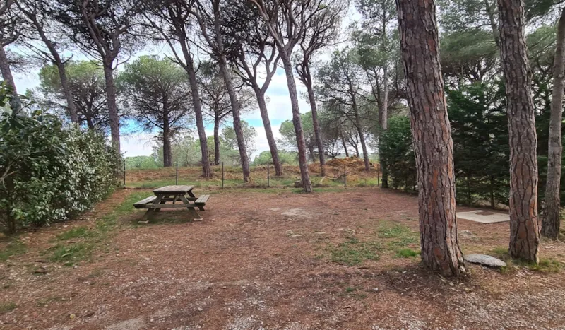 Emplacement Tente/Caravane/Camping Car