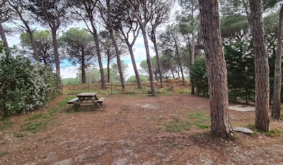 Pitch Tent/caravan/camping car — 5