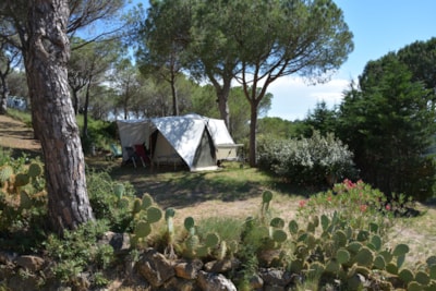 Pitch Tent/caravan/camping car — 6