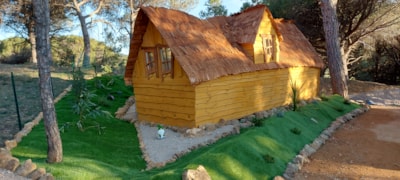 Enchanted Cabin — 3