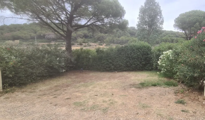 Emplacement Ensoleillé ( Sans Ombre) Avec Électricité.