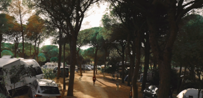 Camping Figurotta ***