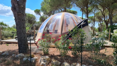 Wigwam & SPA + welcome gift — 7
