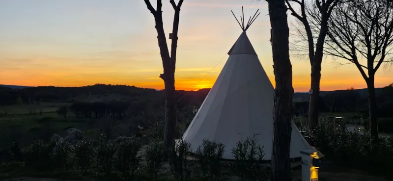 Tipi