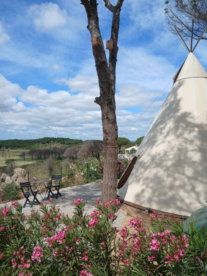 Tipi