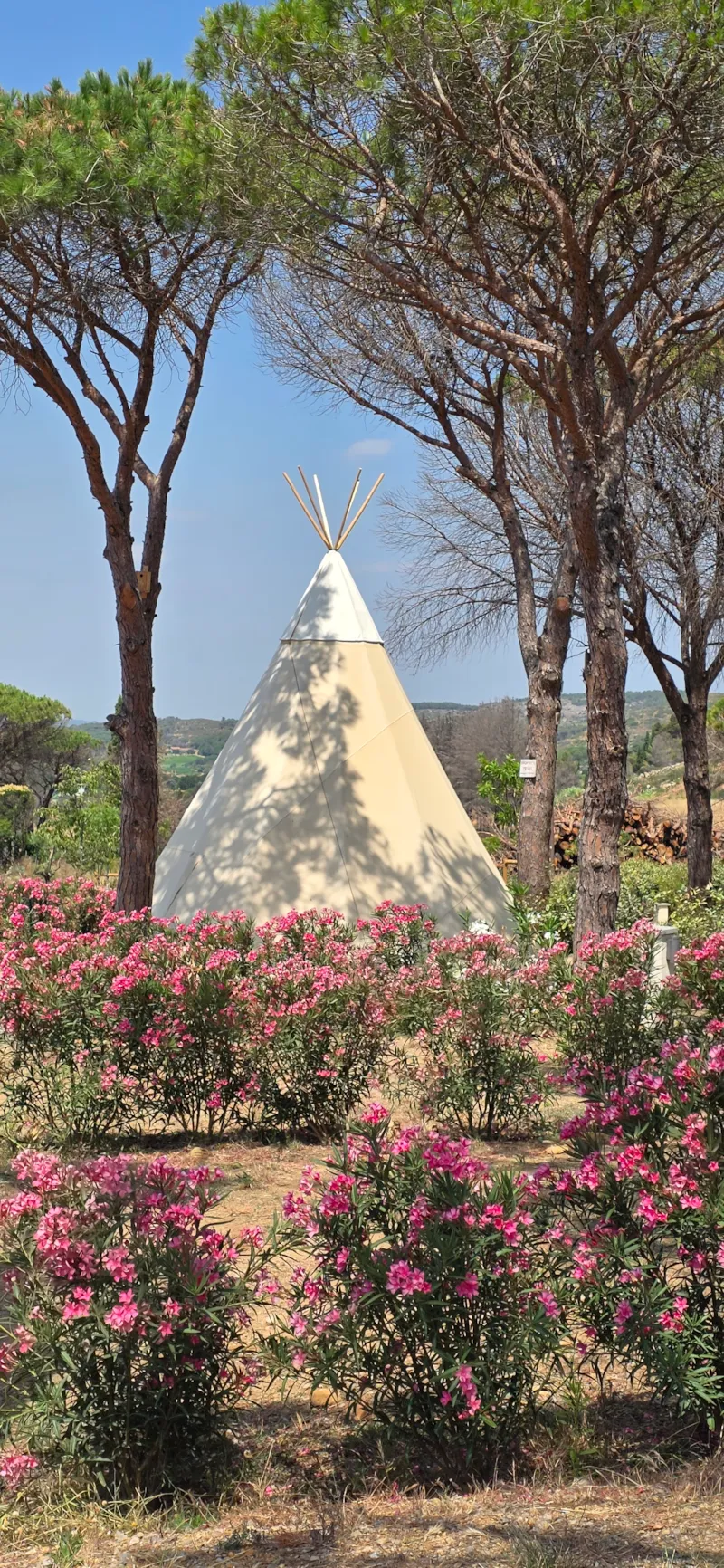 Tipi