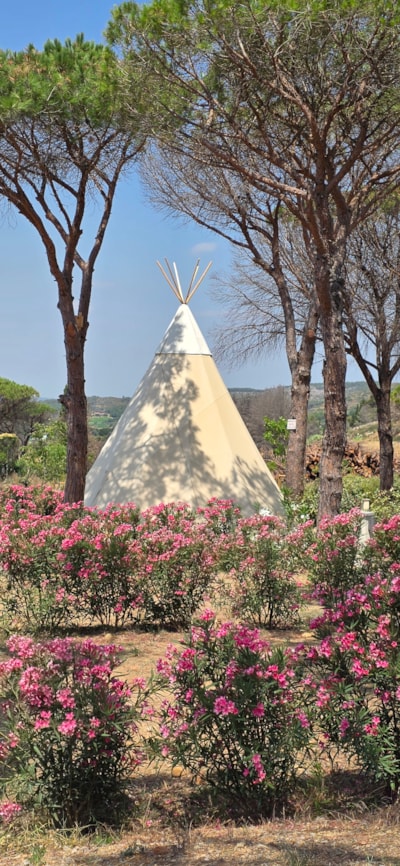 Tepee