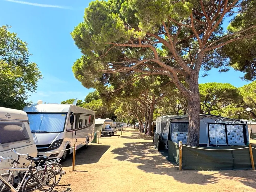 Camping Vall d'Or