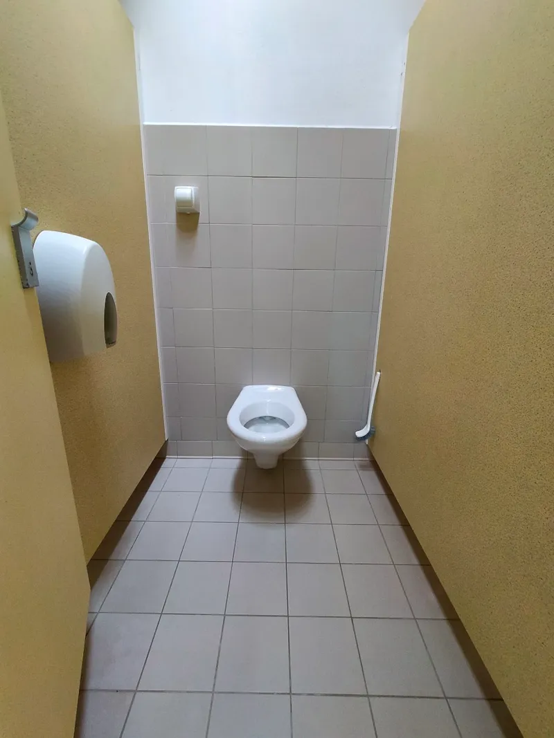 Rose - Xl 150M² "Tente " + Voiture + Électricité 6A