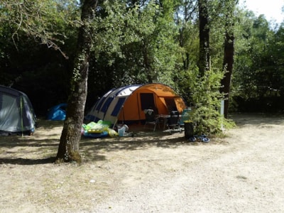 BLUE - Near river "TENT"  + car + electricity 6A — 1