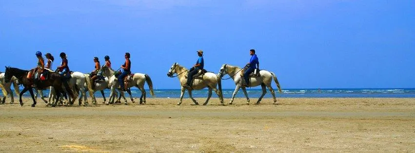 Camping des Drouilhèdes