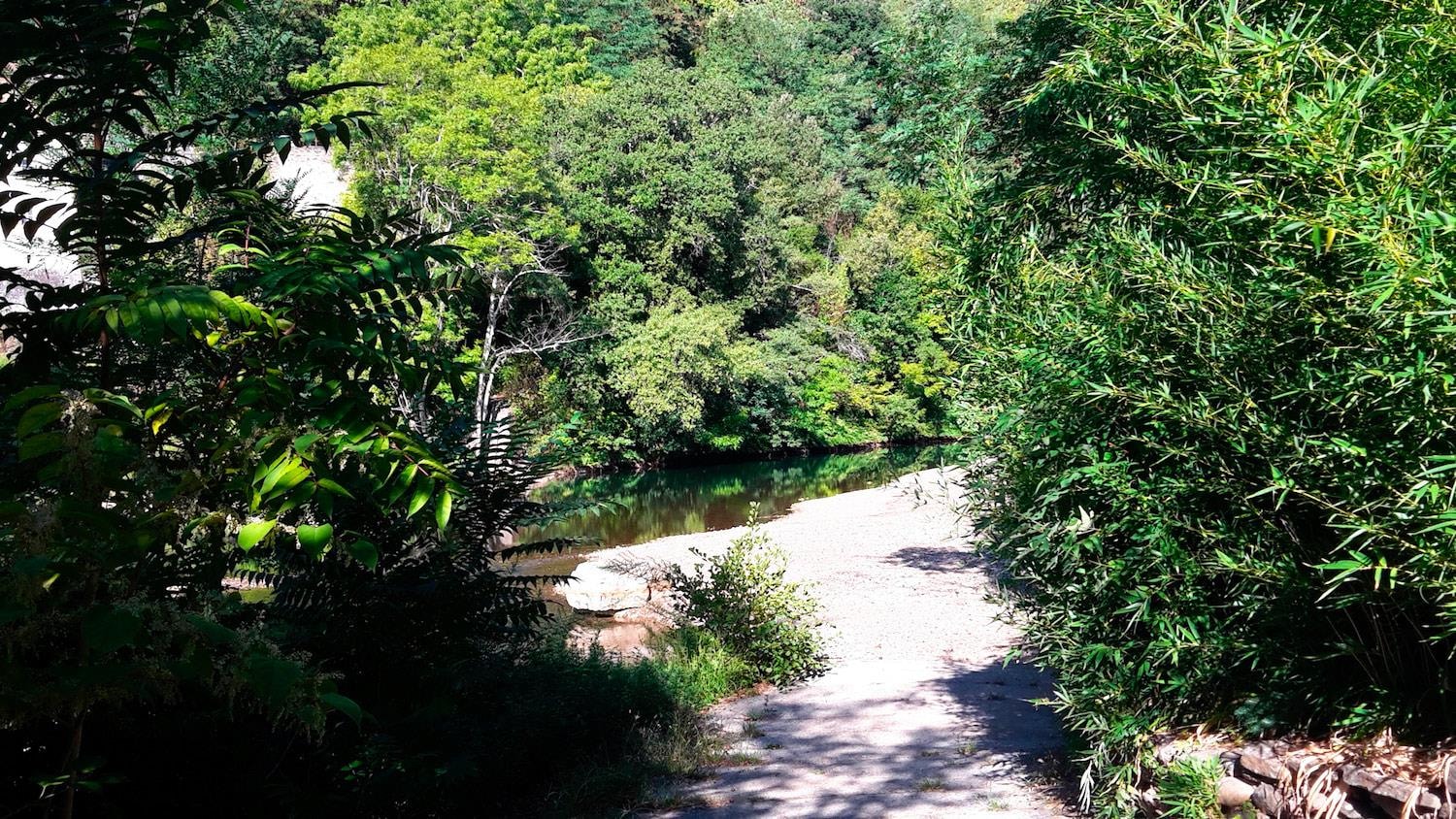Camping des Drouilhèdes — Photo 4