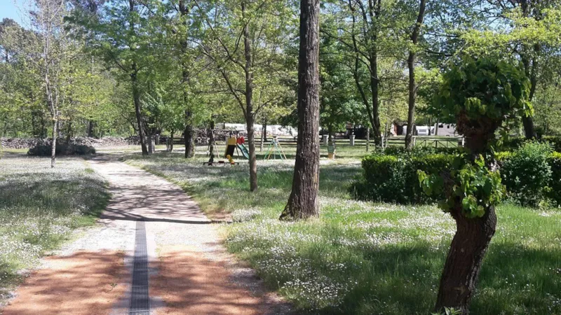 Emplacement + 1 Voiture + Tente, Caravane Ou Camping-Car