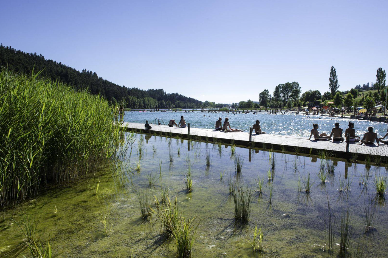 Le Lac des Sapins — Photo 2