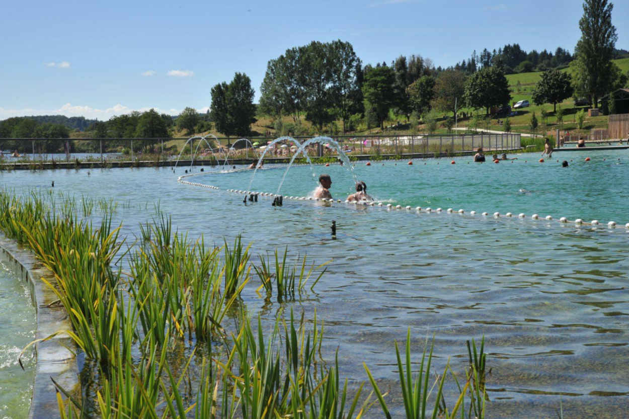 Le Lac des Sapins
