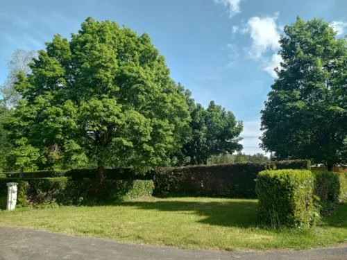 Stellplatz - Acsi-Formel - image n°2 - Le Lac des Sapins