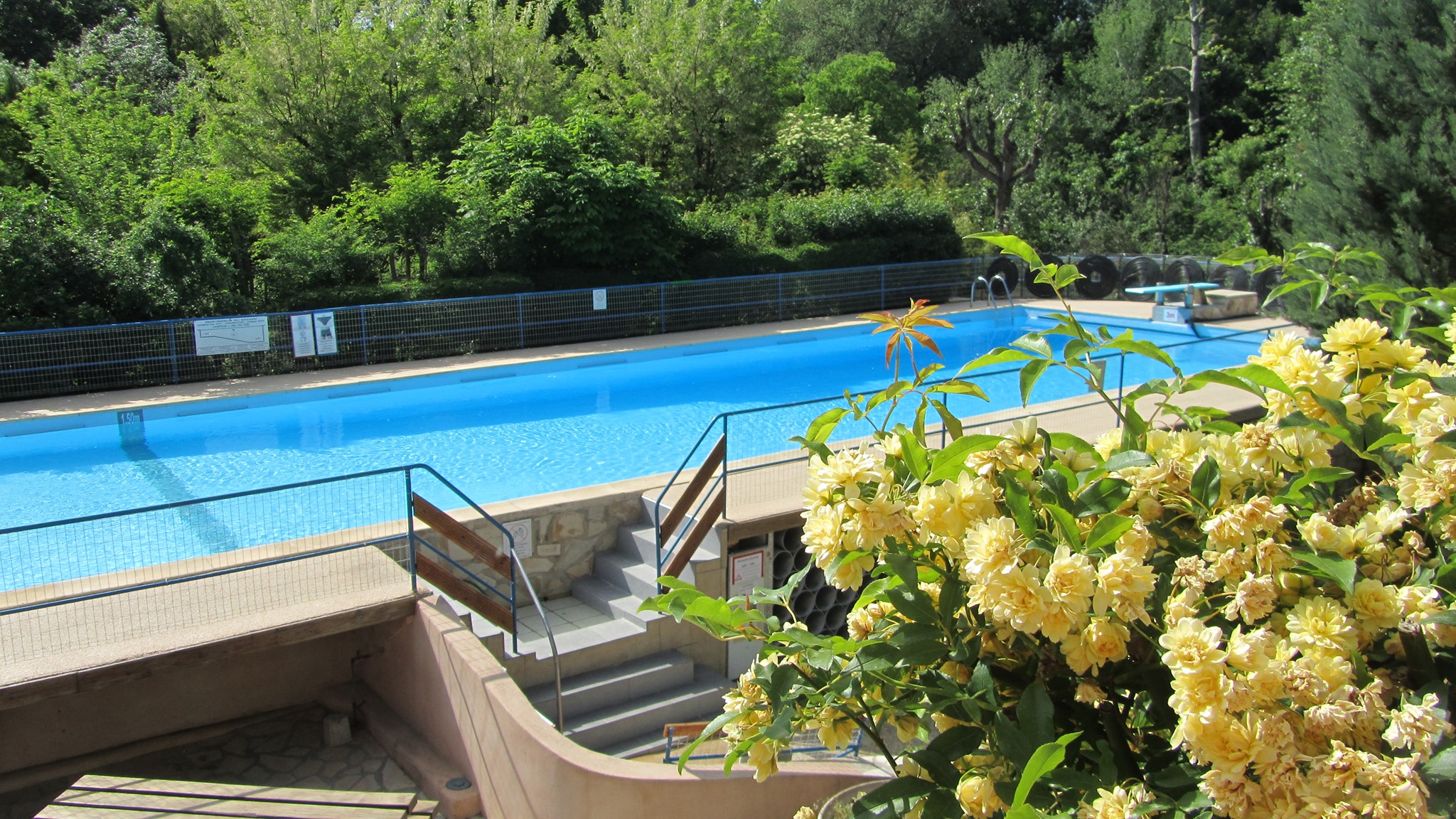 Établissement Camping Arc En Ciel - Aix-En-Provence