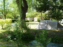 Camping La Grenouille - image n°5 - Roulottes