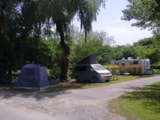 Foto #8 van Camping La Grenouille
