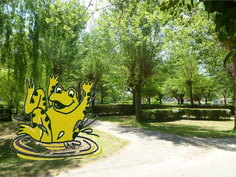 Camping La Grenouille