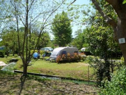 Pitch - Package: Pitch + Car + Tent Or Caravan - Camping La Grenouille