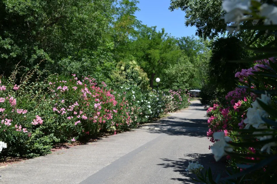 Flower Camping Le Saint Michelet