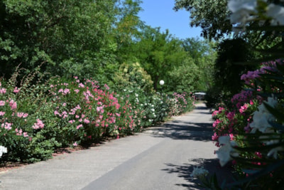 Flower Camping Le Saint Michelet