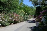Foto #4 van Flower Camping Le Saint Michelet