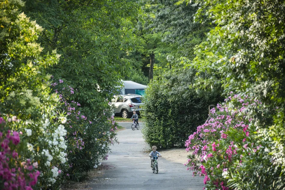 Flower Camping Le Saint Michelet