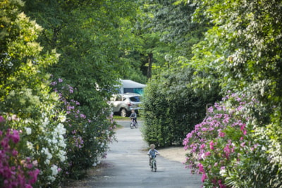 Flower Camping Le Saint Michelet