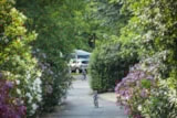 Foto #8 van Flower Camping Le Saint Michelet
