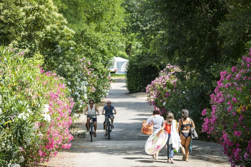 Emplacement Confort Côté Rivière (Avec Électricité) Pas De Vue Directe Sur La Rivière