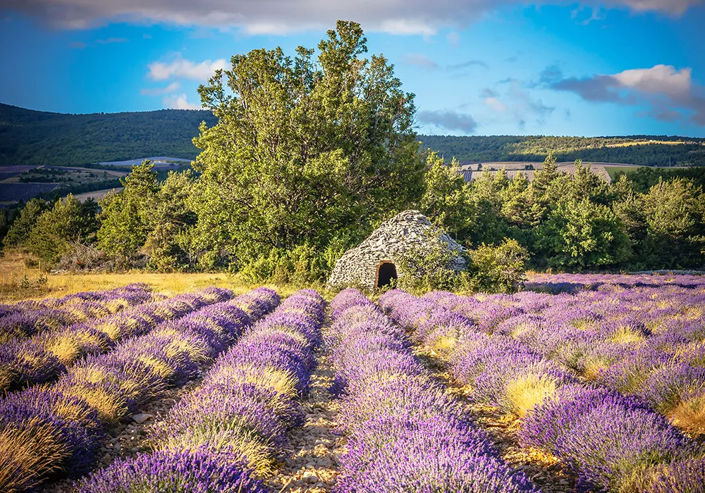 Campasun Camping Les Hautes Prairies