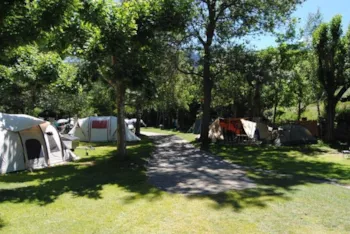 Pitch - Pitch - Camping Sol I Neu