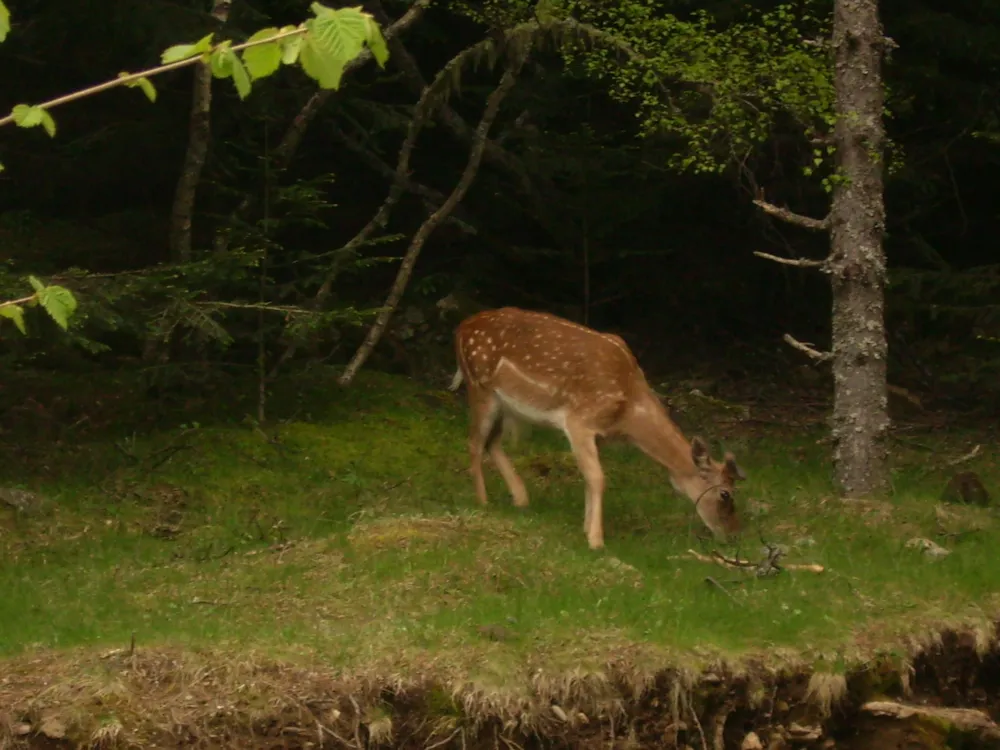 Camping Sol I Neu - image n°37 - UniversalBooking