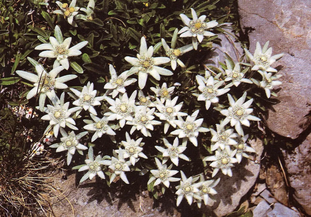 Camping Sol I Neu - image n°40 - UniversalBooking