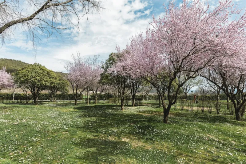 Emplacement Standard (Les Tentes Ne Sont Pas Autorisées)