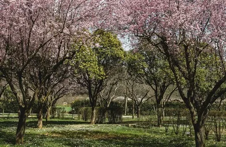 Emplacement Standard (Les Tentes Ne Sont Pas Autorisées)
