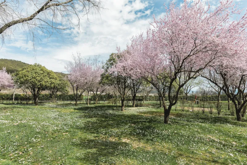 Emplacement Plus (Les Tentes Ne Sont Pas Autorisées)