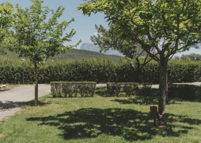 Pitch STANDARD (no tents allowed) — 1