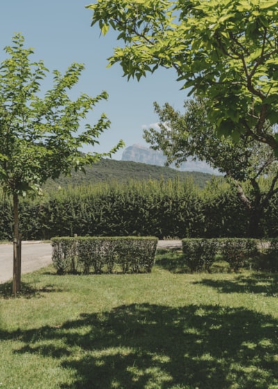 Parcela Camper (no tents allowed) — 4