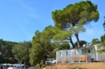 Casa Mobile Confort 25M² + Aria Condizionata Casa Mobile Confort 25M² + Aria Condizionata