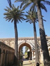 Foto #60 van Camping Les Lauriers Roses