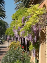 Foto #55 van Camping Les Lauriers Roses