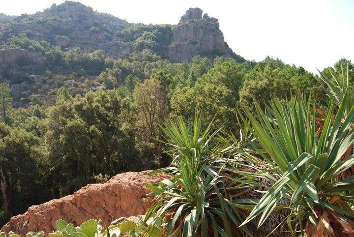 Camping Les Lauriers Roses