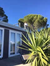 Foto #11 van Camping Les Lauriers Roses