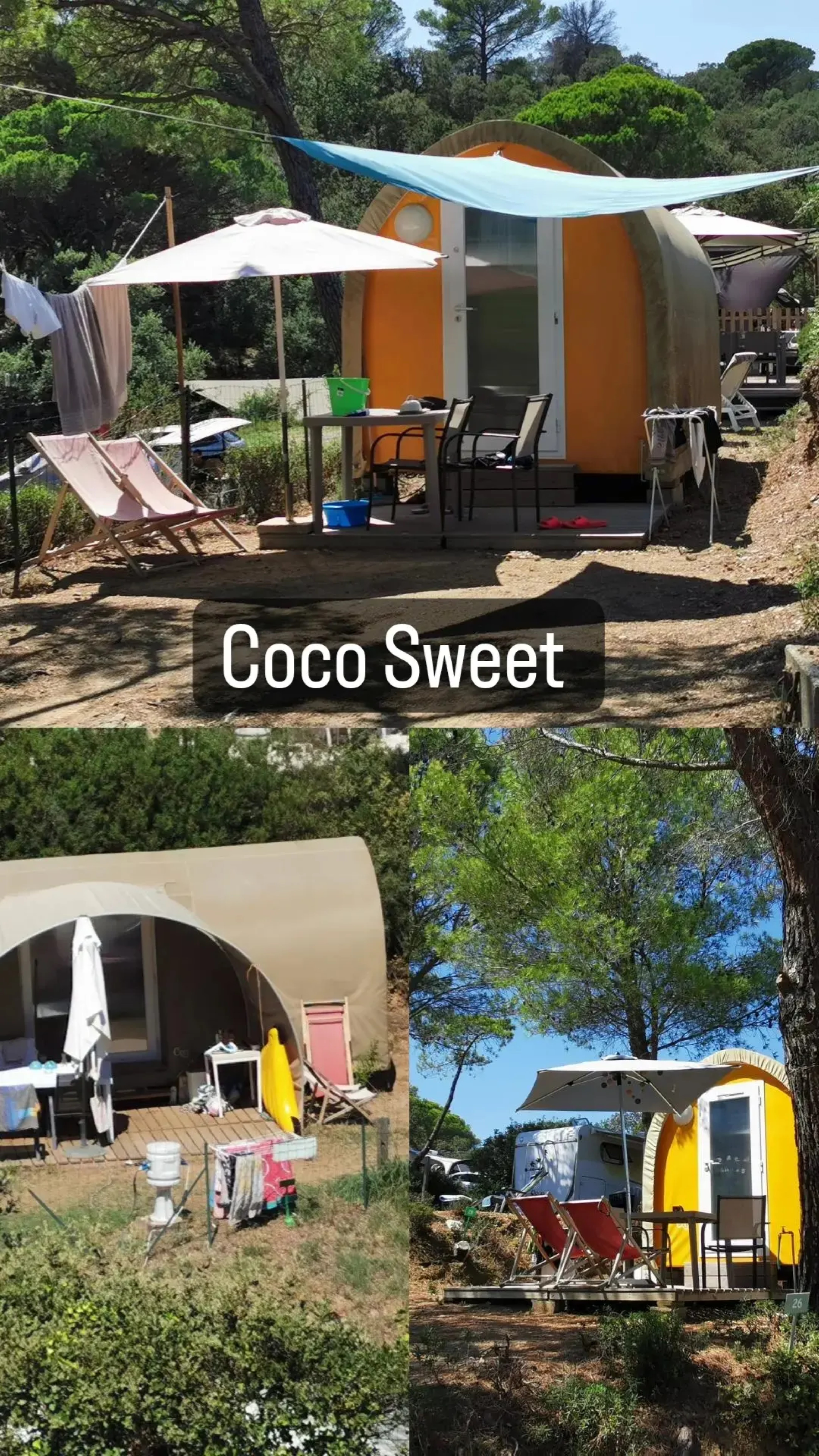 Location - Coco Sweet Quatro (Sans Sanitaires) - Camping Les Lauriers Roses