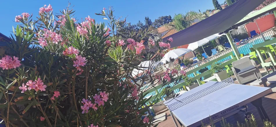 Camping Les Lauriers Roses