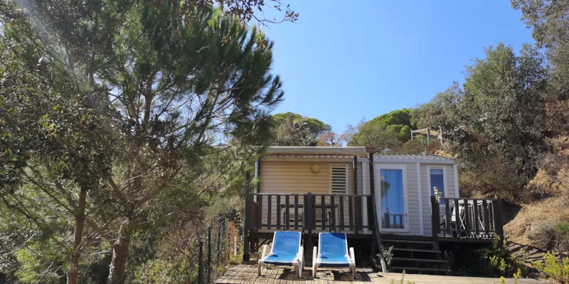 Super  Venus   Confort  Climatisée   2 Chambres