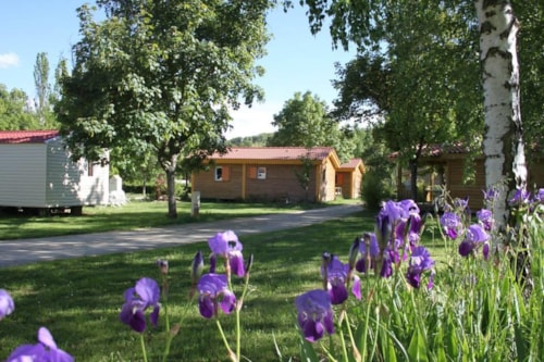 Foto #1 van Camping Le Pont d’Allagnon